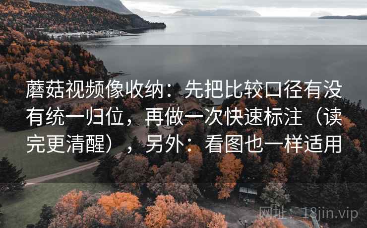 91大事件一张卡片：问题比较口径一致吗动作把结尾改成摘要，1991年大事情